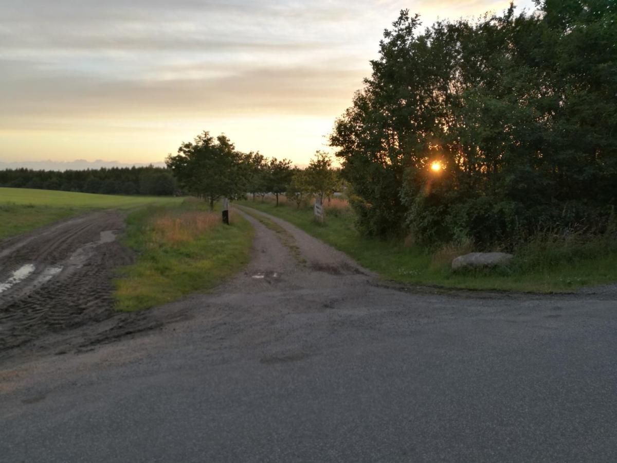 Вілла Haervejsly - Perfekt Familiebase Til Oplevelse Af Sydjylland Give Екстер'єр фото